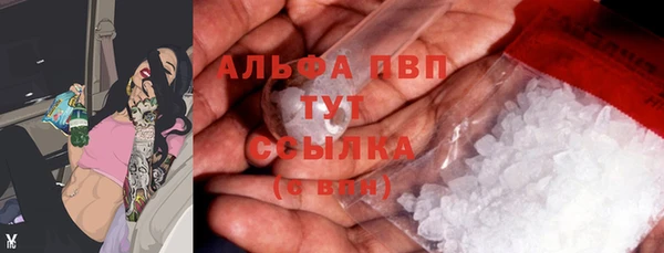 стафф Арсеньев