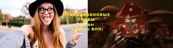 стафф Арсеньев