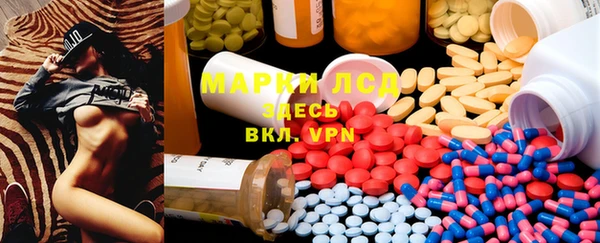 стафф Арсеньев