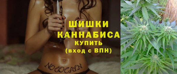 эйфоретик Аркадак