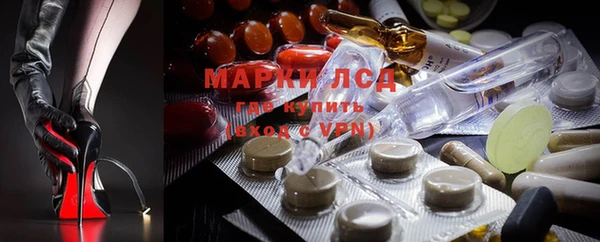 эйфоретик Аркадак