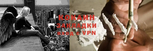 стафф Арсеньев