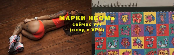 стафф Арсеньев