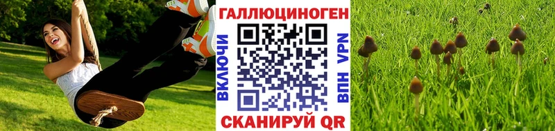 где найти   Заозёрный  Псилоцибиновые грибы GOLDEN TEACHER 